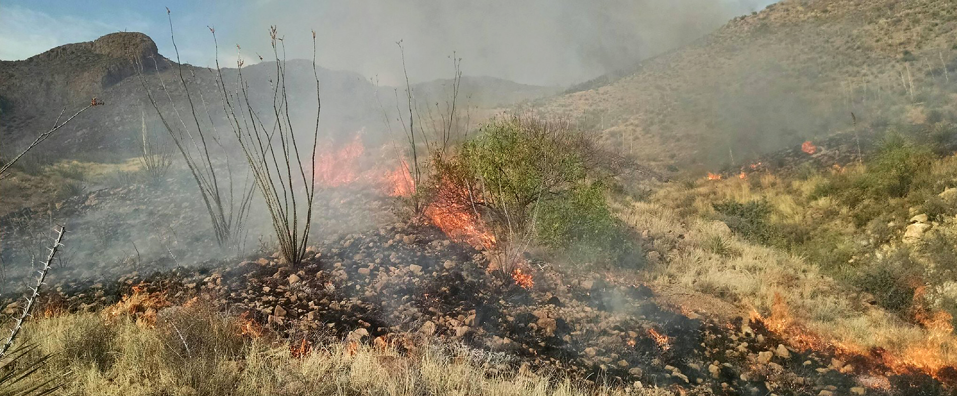 Wildfirehero image