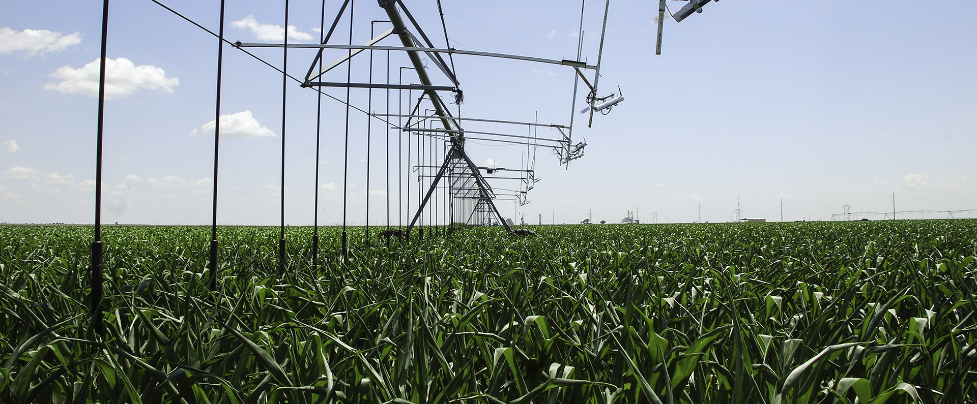 Irrigatorprohero image