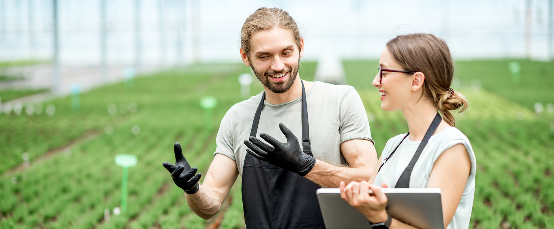 Two workers working with digital tablet walking in a greenhouse of growing plants.