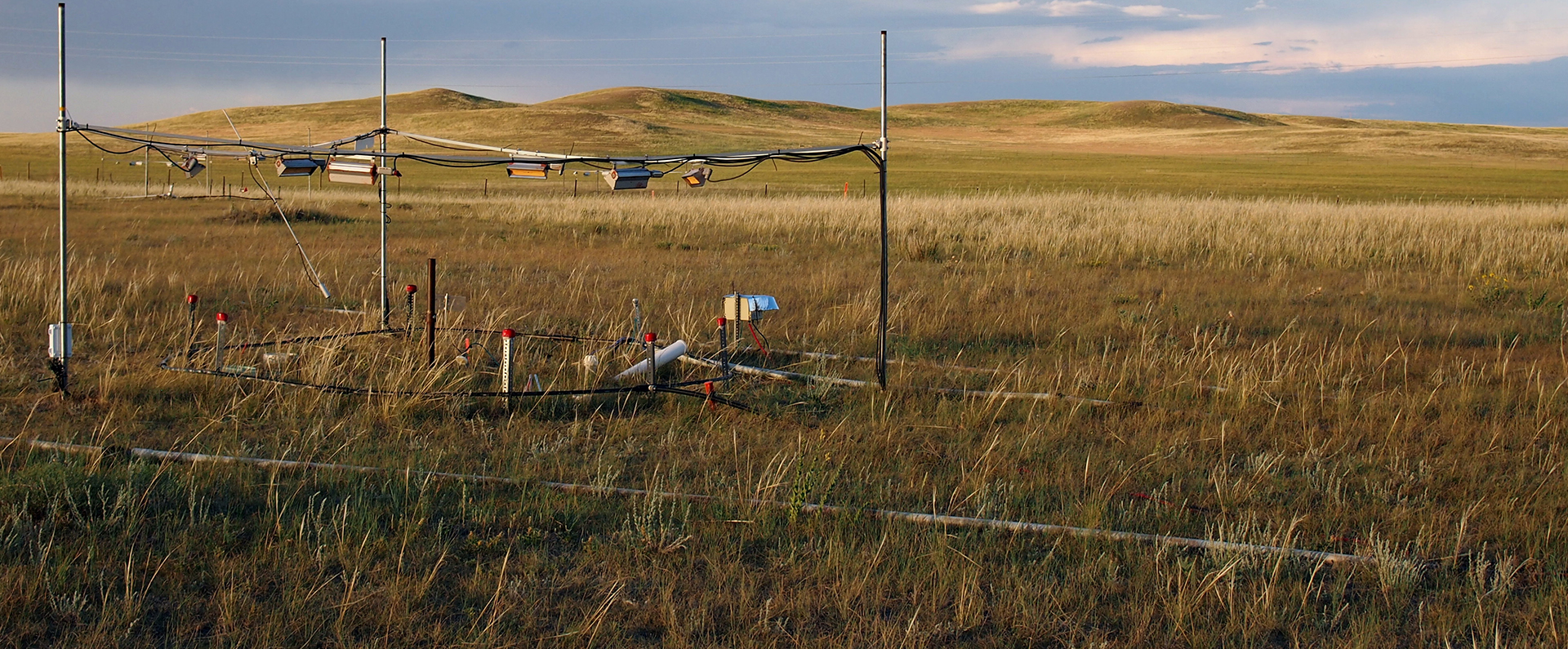 Rangeland
