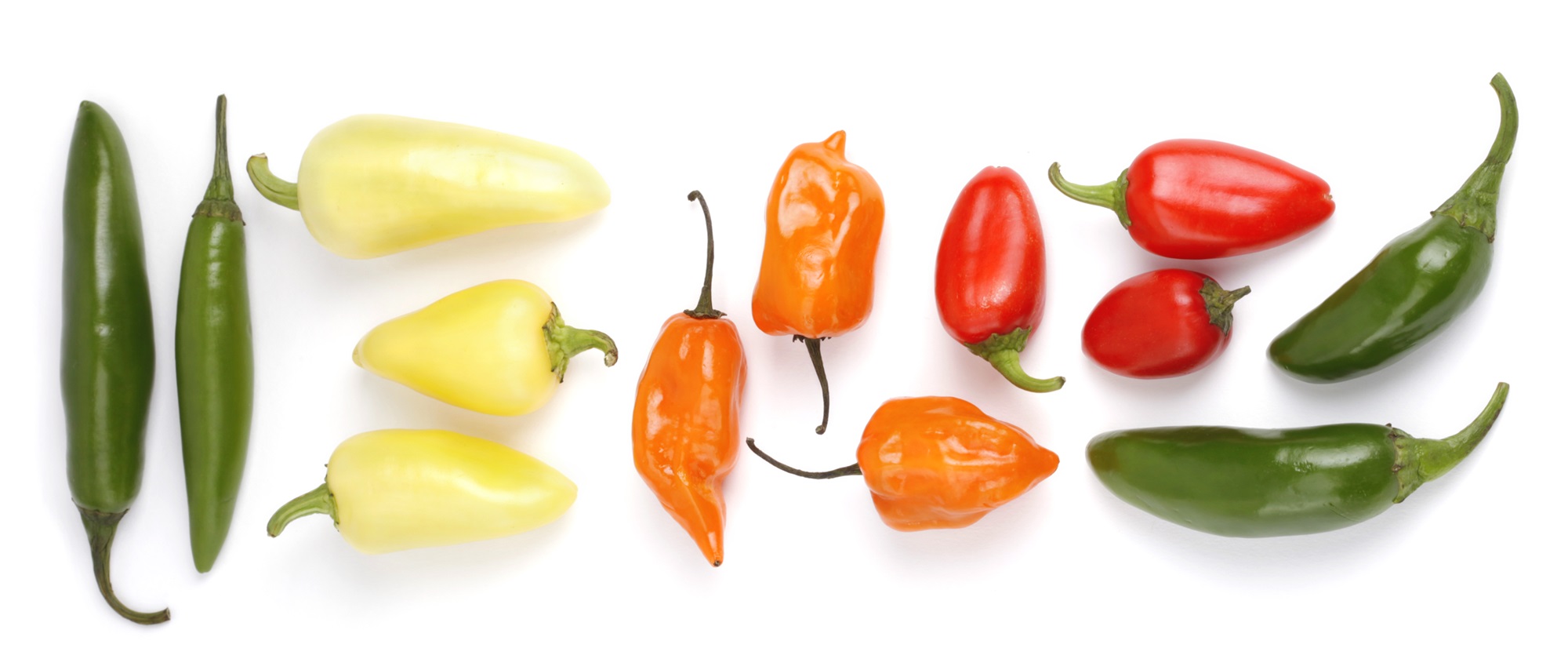 Hot organic peppers background - Getty stock photo
