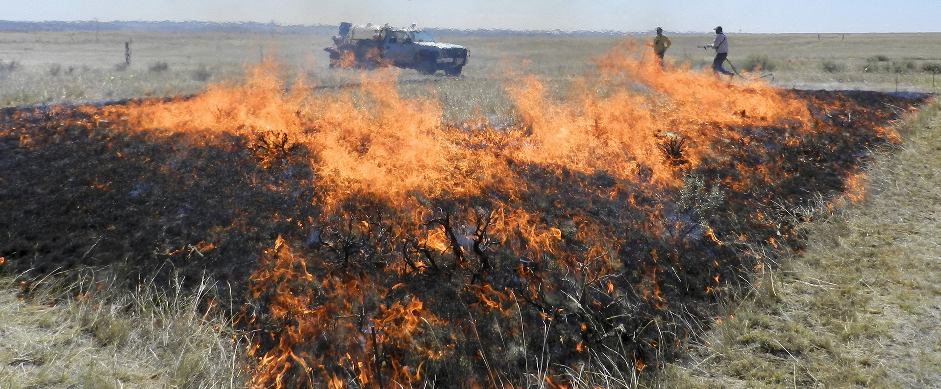 Two workers supervising a prescribed burn 
