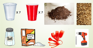 Materials needed for experiment