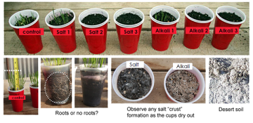 Results of experiment