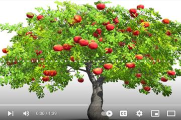 Applesnackbreak Applesnackbreak image