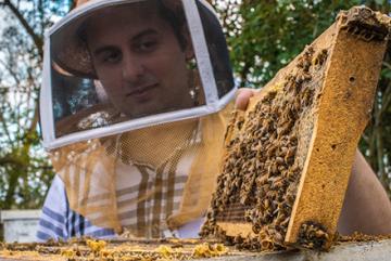 Usdabeehive A beekeeper and a hive