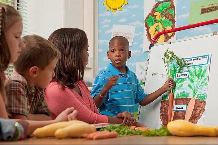 An elementary student shows a class how carrots grow. 