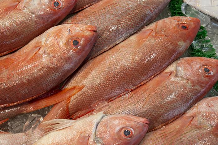 Red snapper on ice at a seafood market. 