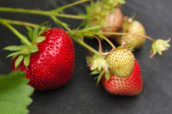 Strawberries