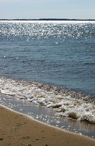 D1836 1 The Chesapeake Bay shoreline