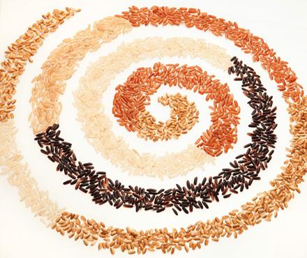 D2846 6 Multi-colored uncooked rice