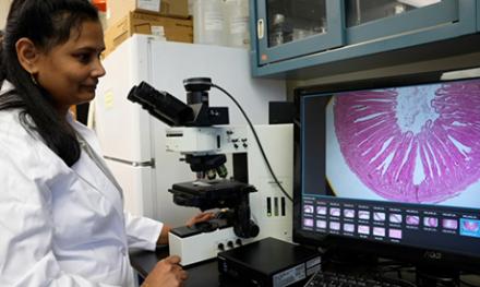 Revathishamugasundaram ARS research biologist Revathi Shanmugasundaram
