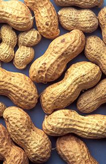 Peanuts Peanuts in the shell