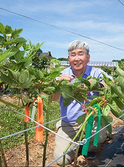 Horticulturist Fumiomi Takeda clamping primocanes on trellis wire.