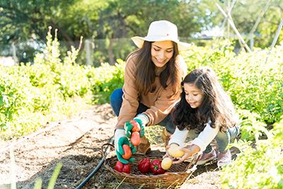 Motherdaughter A mother and daughter picking vegetables