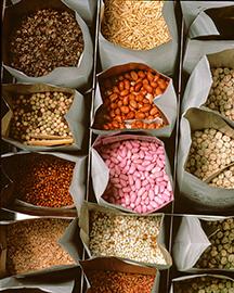 Multi-colored seeds in paper containers