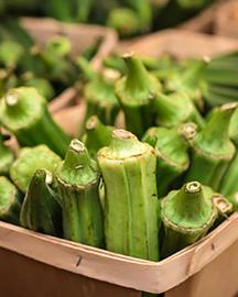 A basket of fresh okra