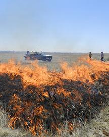 A prescribed burn