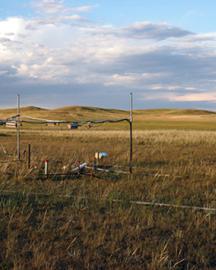 Rangeland