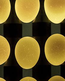 Eggcrack Eggcrack image