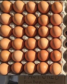 Storingeggssafely Storingeggssafely image
