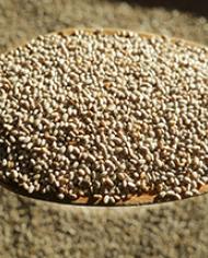 Chia seeds